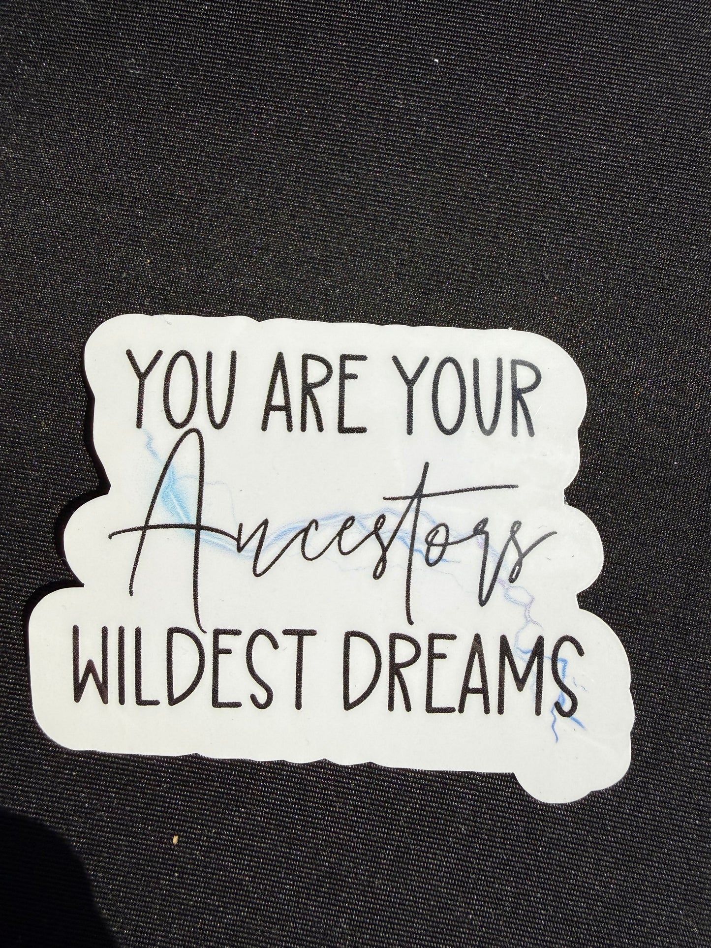 You are your Ancesters Wildest Dreams