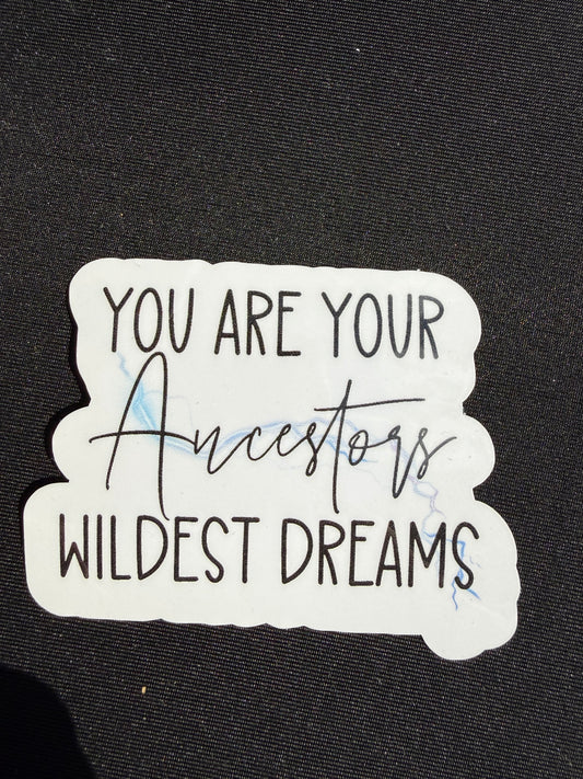You are your Ancesters Wildest Dreams